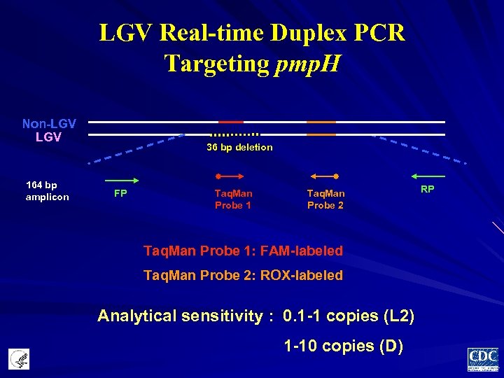LGV Real-time Duplex PCR Targeting pmp. H Non-LGV 164 bp amplicon 36 bp deletion