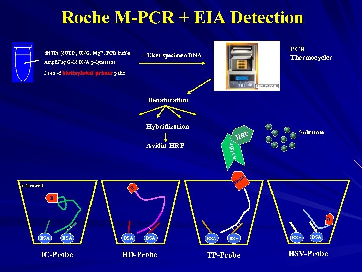 Roche M-PCR + EIA Detection d. NTPs (d. UTP), UNG, Mg 2+, PCR buffer