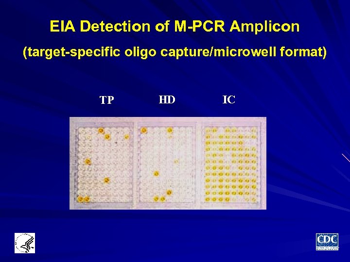 EIA Detection of M-PCR Amplicon (target-specific oligo capture/microwell format) TP HD IC 