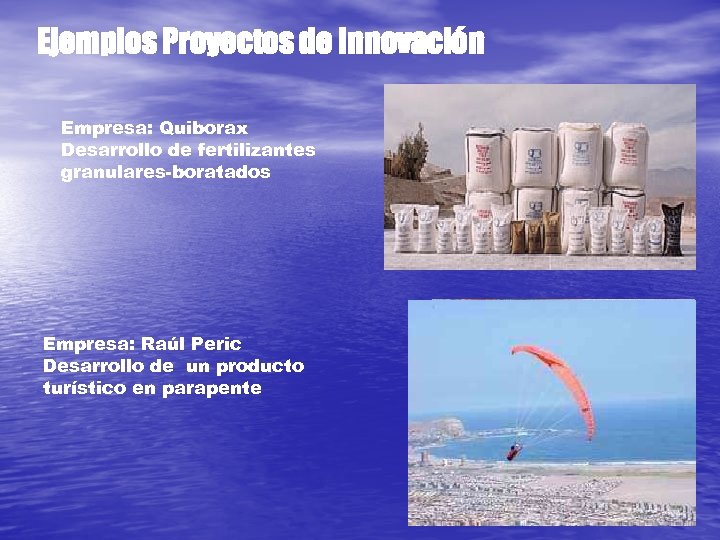 Ejemplos Proyectos de Innovación Empresa: Quiborax Desarrollo de fertilizantes granulares-boratados Empresa: Raúl Peric Desarrollo