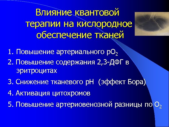 Влияние квантовой терапии на кислородное обеспечение тканей 1. Повышение артериального p. O 2 2.