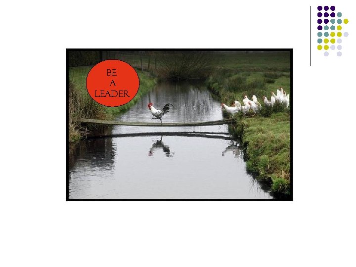 Be a leader 