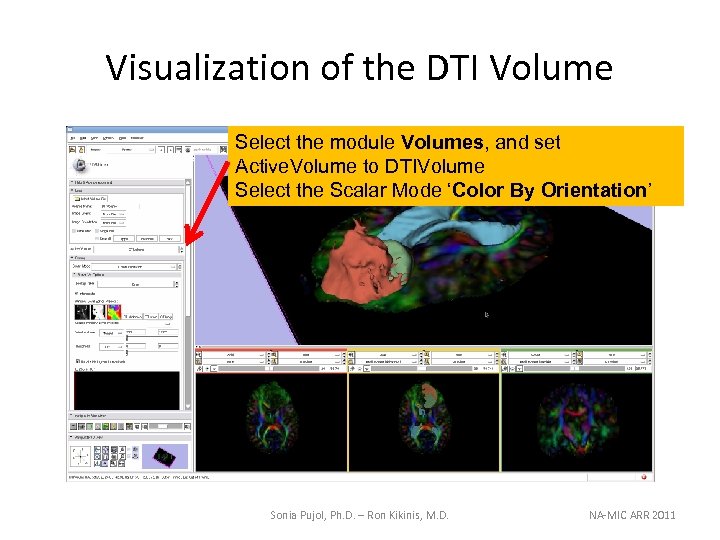 Visualization of the DTI Volume Select the module Volumes, and set Active. Volume to