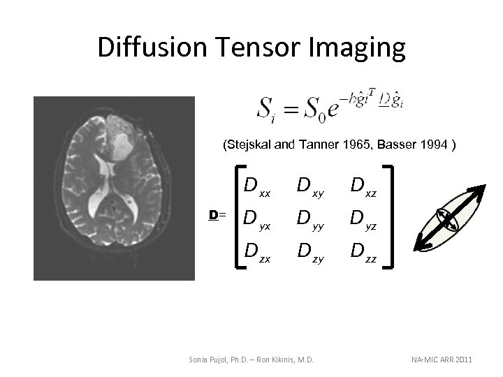 Diffusion Tensor Imaging (Stejskal and Tanner 1965, Basser 1994 ) D xx D xz