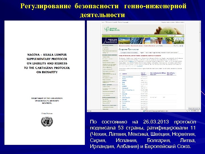  Регулирование безопасности генно-инженерной деятельности По состоянию на 26. 03. 2013 протокол подписала 53