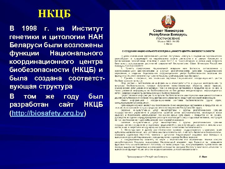НКЦБ В 1998 г. на Институт генетики и цитологии НАН Беларуси были возложены функции