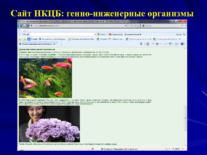 Сайт НКЦБ: генно-инженерные организмы 
