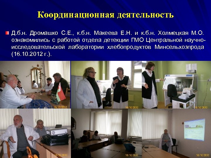 Координационная деятельность Д. б. н. Дромашко С. Е. , к. б. н. Макеева Е.