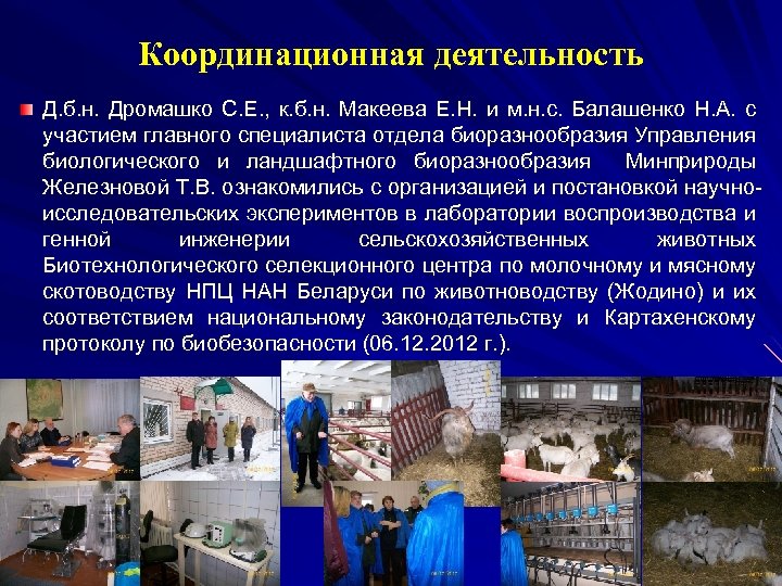 Координационная деятельность Д. б. н. Дромашко С. Е. , к. б. н. Макеева Е.
