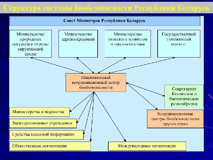 Структура системы биобезопасности Республики Беларусь 