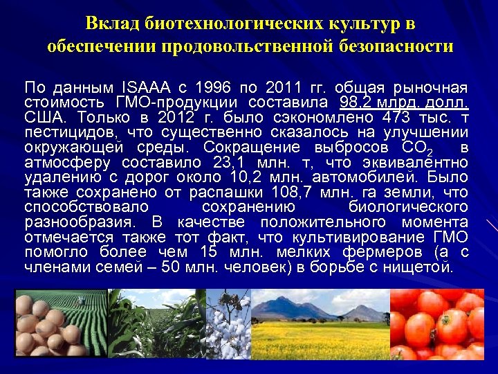Вклад биотехнологических культур в обеспечении продовольственной безопасности По данным ISAAA с 1996 по 2011