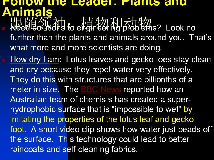 Follow the Leader: Plants and Animals n n 跟随领袖：植物和动物 Need solutions to engineering problems?