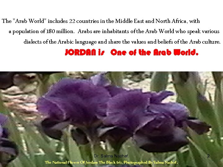 The "Arab World" includes 22 countries in the Middle East and North Africa, with
