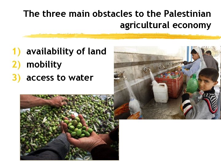 The three main obstacles to the Palestinian agricultural economy 1) availability of land 2)