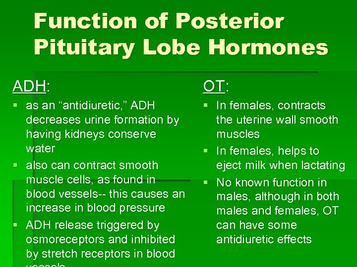 Function of Posterior Pituitary Lobe Hormones ADH: OT: § as an “antidiuretic, ” ADH