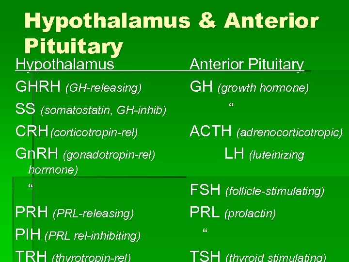Hypothalamus & Anterior Pituitary Hypothalamus GHRH (GH-releasing) SS (somatostatin, GH-inhib) CRH (corticotropin-rel) Gn. RH