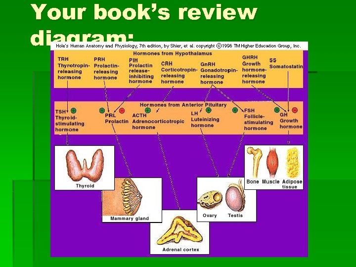 Your book’s review diagram: 