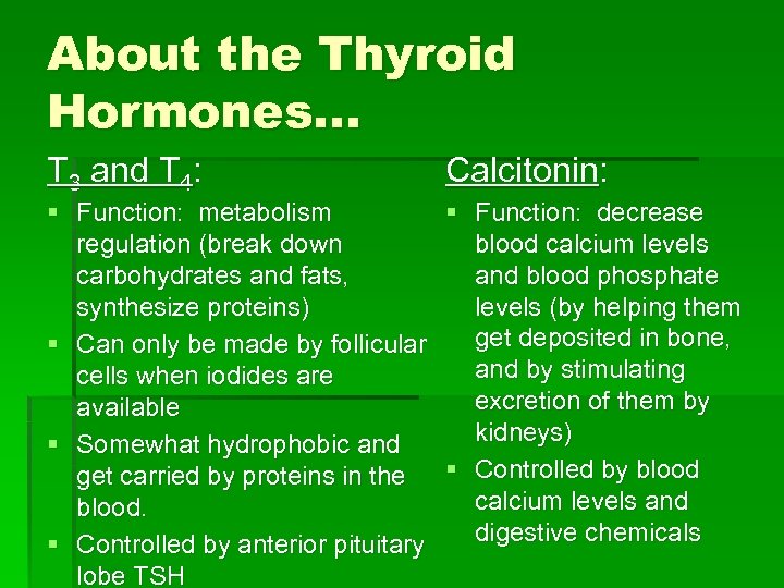 About the Thyroid Hormones. . . T 3 and T 4: Calcitonin: § Function: