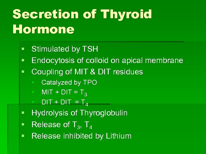 Secretion of Thyroid Hormone § Stimulated by TSH § Endocytosis of colloid on apical