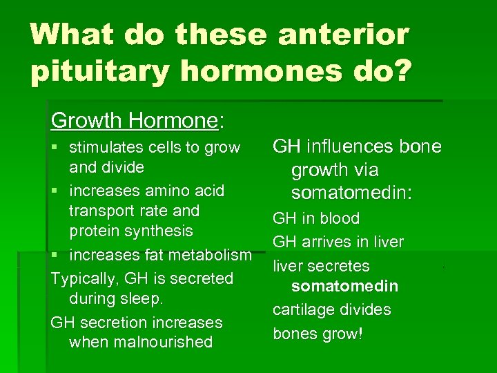 What do these anterior pituitary hormones do? Growth Hormone: § stimulates cells to grow