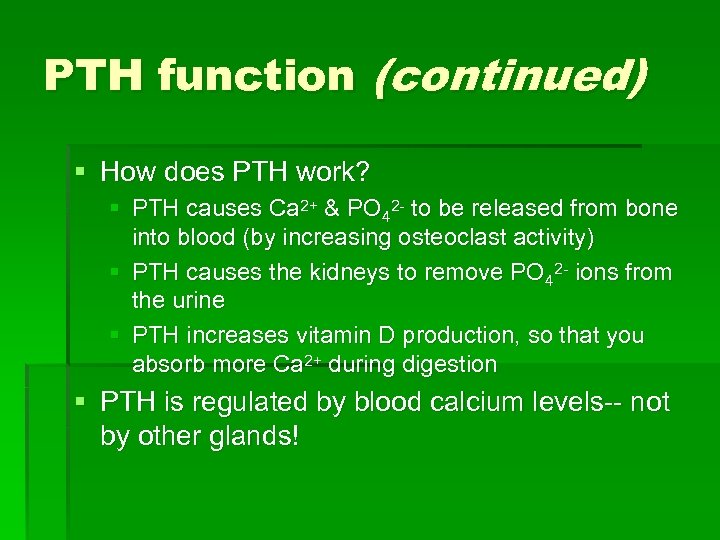 PTH function (continued) § How does PTH work? § PTH causes Ca 2+ &