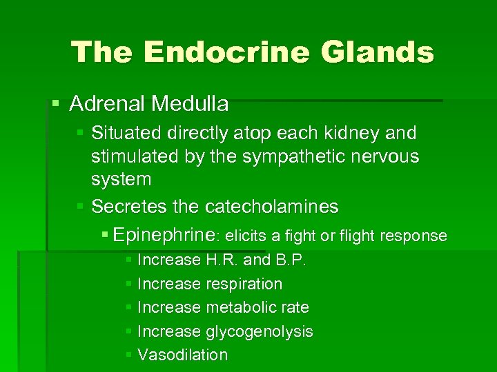 The Endocrine Glands § Adrenal Medulla § Situated directly atop each kidney and stimulated