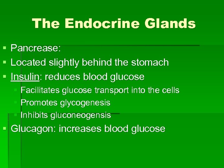 The Endocrine Glands § § § Pancrease: Located slightly behind the stomach Insulin: reduces
