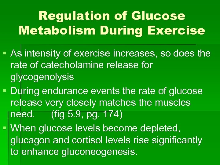 Regulation of Glucose Metabolism During Exercise § As intensity of exercise increases, so does