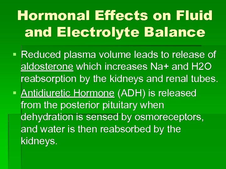 Hormonal Effects on Fluid and Electrolyte Balance § Reduced plasma volume leads to release