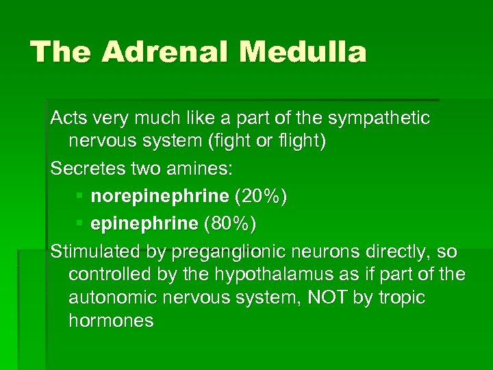 The Adrenal Medulla Acts very much like a part of the sympathetic nervous system
