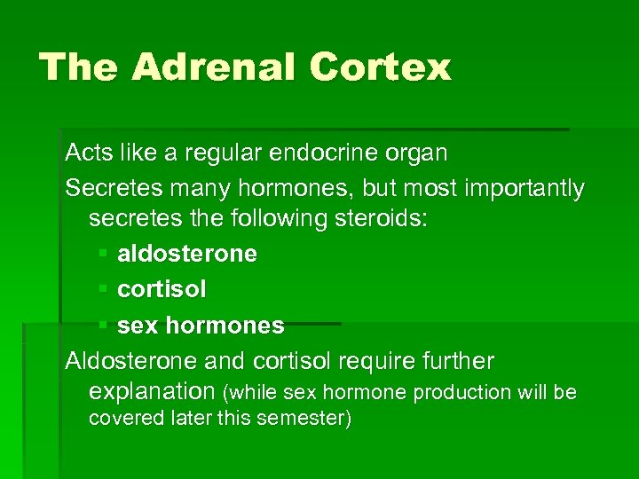 The Adrenal Cortex Acts like a regular endocrine organ Secretes many hormones, but most