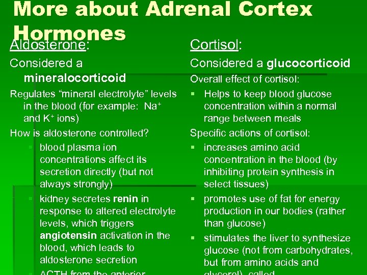 More about Adrenal Cortex Hormones Aldosterone: Cortisol: Considered a mineralocorticoid Regulates “mineral electrolyte” levels