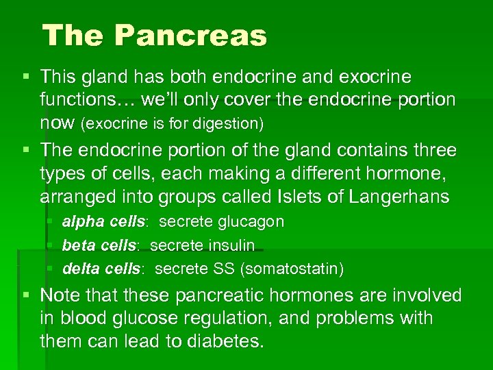 The Pancreas § This gland has both endocrine and exocrine functions… we’ll only cover