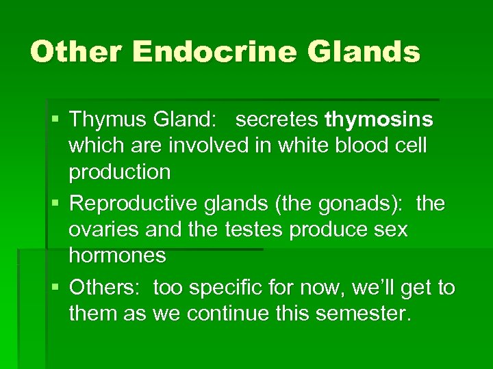 Other Endocrine Glands § Thymus Gland: secretes thymosins which are involved in white blood