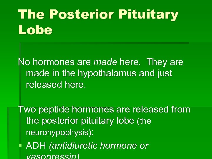 The Posterior Pituitary Lobe No hormones are made here. They are made in the