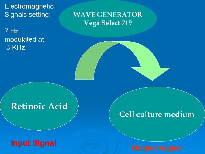 Electromagnetic Signals setting: WAVE GENERATOR Vega Select 719 7 Hz , modulated at 3
