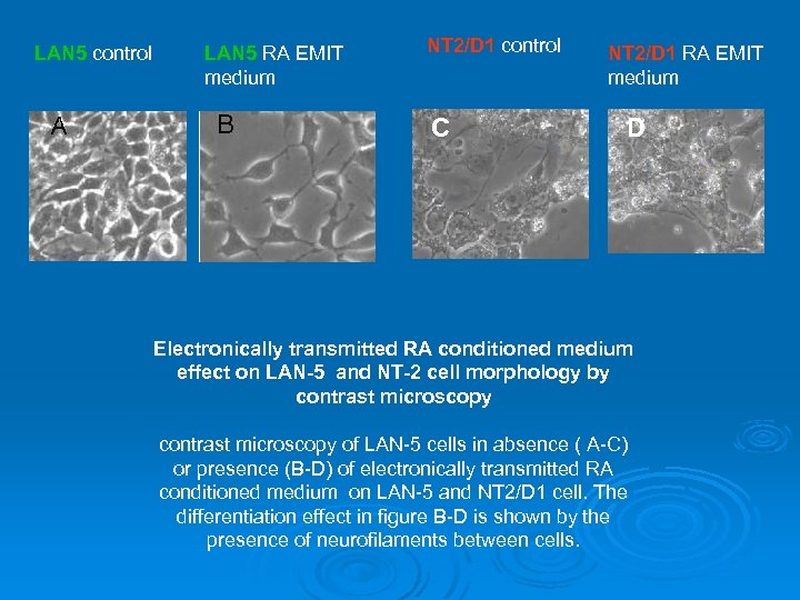 LAN 5 control LAN 5 RA EMIT medium NT 2/D 1 control C NT