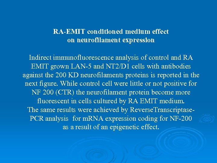 RA-EMIT conditioned medium effect on neurofilament expression Indirect immunofluorescence analysis of control and RA