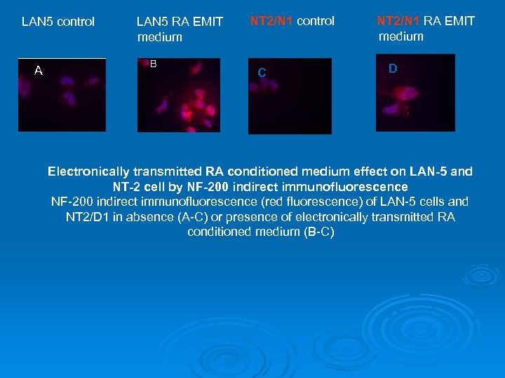 LAN 5 control LAN 5 RA EMIT medium NT 2/N 1 control C NT