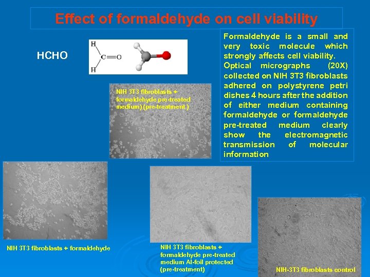 Effect of formaldehyde on cell viability HCHO NIH 3 T 3 fibroblasts + formaldehyde