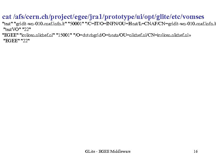 cat /afs/cern. ch/project/egee/jra 1/prototype/ui/opt/glite/etc/vomses 