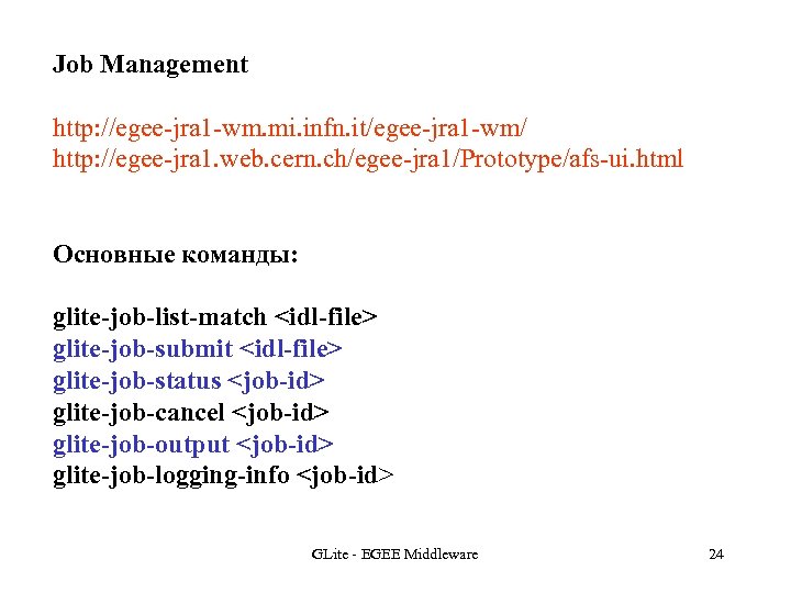 Job Management http: //egee-jra 1 -wm. mi. infn. it/egee-jra 1 -wm/ http: //egee-jra 1.