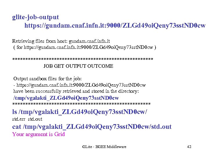 glite-job-output https: //gundam. cnaf. infn. it: 9000/ZLGd 49 oi. Qeny 73 sst. ND 0