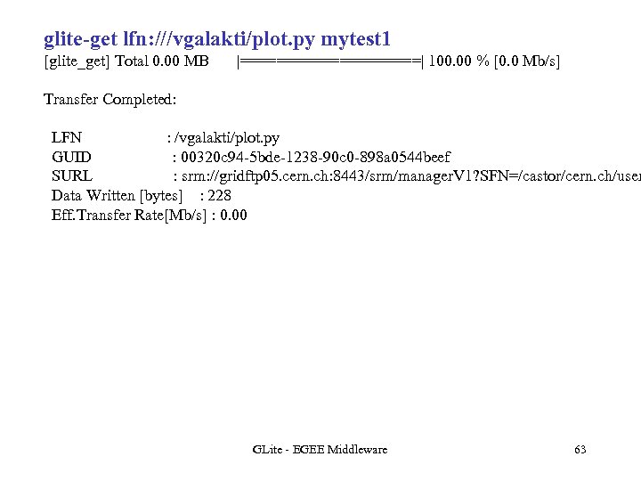 glite-get lfn: ///vgalakti/plot. py mytest 1 [glite_get] Total 0. 00 MB |==========| 100. 00