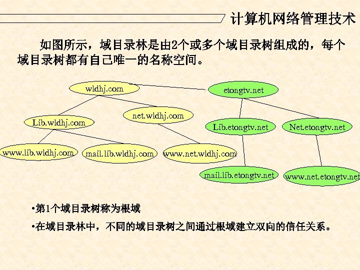 计算机网络管理技术 如图所示，域目录林是由 2个或多个域目录树组成的，每个 域目录树都有自己唯一的名称空间。 wldhj. com Lib. wldhj. com www. lib. wldhj. com etongtv.