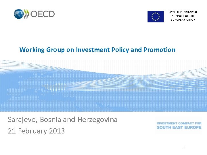 WITH THE FINANCIAL SUPPORT OF THE EUROPEAN UNION Working Group on Investment Policy and