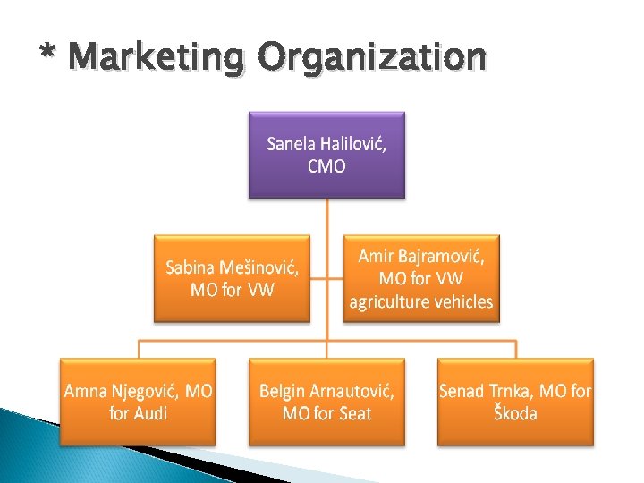 * Marketing Organization 