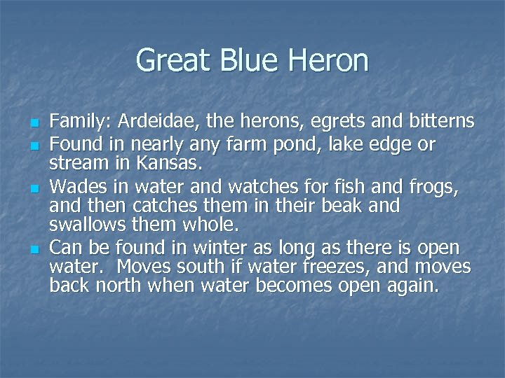 Great Blue Heron n n Family: Ardeidae, the herons, egrets and bitterns Found in