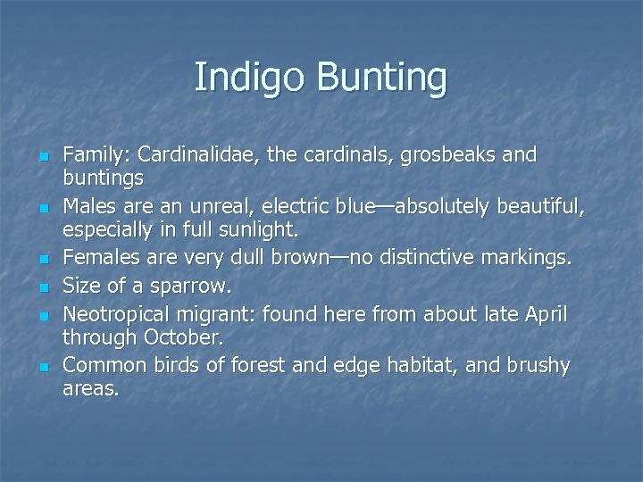 Indigo Bunting n n n Family: Cardinalidae, the cardinals, grosbeaks and buntings Males are