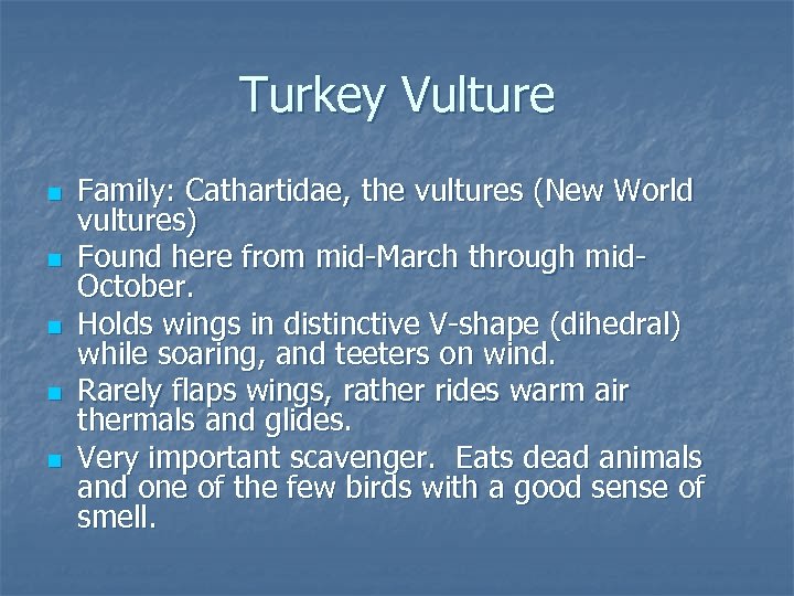 Turkey Vulture n n n Family: Cathartidae, the vultures (New World vultures) Found here